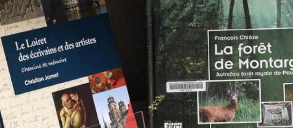 catalogue fonds territorial